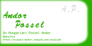 andor possel business card